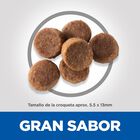 Hill's Science Plan Puppy large Pollo pienso para perros, , large image number null